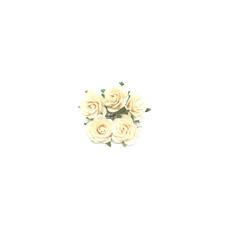 Roses 25 mm IVOIRE