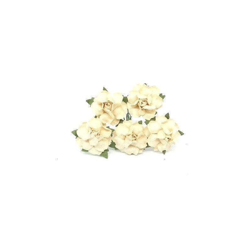 Roses 30 mm CREME